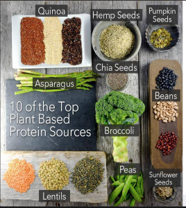 10 Plant Based Proteins
